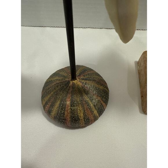 Conch Shell Set on Pedestal, coastal décor, beach accents, Sea Shore/Nautical - Picture 6 of 9